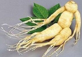 Ginseng gyökér az infúzió előállításához